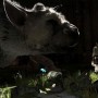 La date de sortie de The Last of Guardian est fixée au 25 octobre.