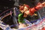 En gros, les auteurs de cette pétition demandent à Capcom de ne pas censurer (ou s'auto-censurer) Street Fighter V, affirmant que ces modifications se font au détriment de l'identité du personnage, en plus d'être inutiles.