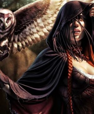 En effet, alors que le jeu de cartes a beaucoup plus souvent eu droit à des jeux vidéo avec des cartes, justement, quelques-uns se sont essayés à développé un vrai RPG autour de la licence, et s'y sont cassé les dents, en témoignent Magic: The Gathering - Tactics et Magic: The Gathering – Battlegrounds.