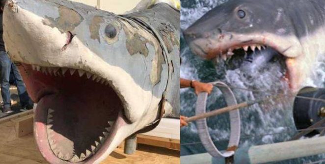 L'un des premiers requins en fibre de verre utilisés dans Dents de la mer de Steven Spielberg sera exposé au Academy Museum of Motion Pictures. Bruce the Shark est actuellement en cours de restauration par la légende des effets spéciaux Greg Nicotero.