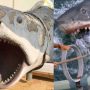 L'un des premiers requins en fibre de verre utilisés dans Dents de la mer de Steven Spielberg sera exposé au Academy Museum of Motion Pictures. Bruce the Shark est actuellement en cours de restauration par la légende des effets spéciaux Greg Nicotero.