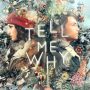 Le prochain jeu de Dontnod Entertainment, Tell Me Why, a été annoncé à X019.