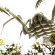 L'équipe Xbox a fait une recherche sur la façon de rendre les araignées dans Grounded moins effrayantes pour le jeu Obsidians.