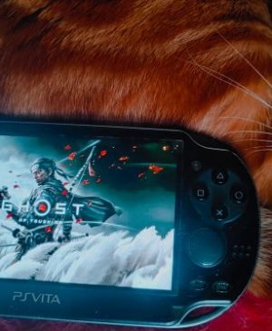 Ceux qui ont (encore) le petit gadget de jeu portable fabriqué par Sony et sorti au Japon en décembre 2011 (le reste du monde en février 2012): la PlayStation Vita et qui l'utilisent toujours en mode de jeu à distance, peuvent y renoncer pour Fantôme de Tsushima.