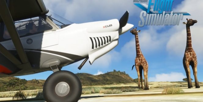 Ils nous ont apporté un monde merveilleux ici - je veux dire que nous avons des animaux détaillés dans Microsoft Flight Simulator!