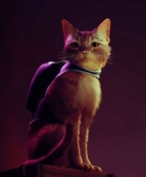 Avec un chat comme protagoniste, Stray de PS5, PS4 et PC réapparaît avec un nouveau gameplay et de nouveaux détails. Comme ces animaux dans la vraie vie - faites tomber des objets, montez sur les meubles, et oui, vous pouvez aussi vous lécher le cul.