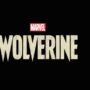 Marvel's Wolverine