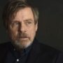 La série animée de Netflix, Master of the Universe : Revelation n'a peut-être pas été le rêve de tous les fans, voir Mark Hamill faire la voix en est assurément un à retenir.