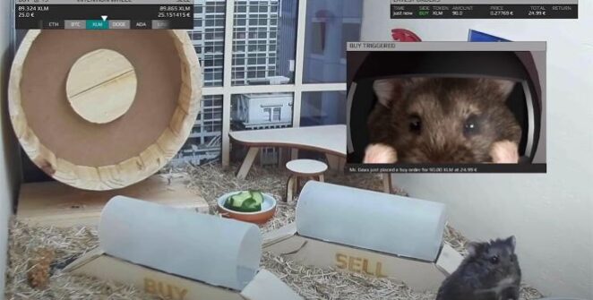 Mr Goxx, l'animal de compagnie hamster qui a atteint la célébrité sur Internet en raison de sa capacité à souvent surpasser les investisseurs humains dans les échanges de crypto-monnaies, est décédé mardi.