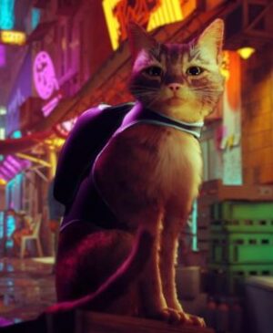 Stray nous a captivés dès le premier instant où nous l'avons vu et nous a immédiatement scotchés à nos écrans de télévision.