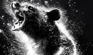 CNÉMA ACTUS - Cocaine Bear est l'un des films les plus attendus de l'année selon le portail de films Stuff to Watch, et non à cause de la poudre