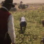 Le propriétaire du chien qui jouait le rôle de Cain dans Red Dead Redemption 2, et qui a été capturé en motion-capture, a fait savoir que le chien était décédé récemment.