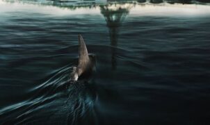 CRITIQUE DE FILM – De nos jours, il y a autant de films de requins que de poissons dans la mer. Malheureusement, la plupart sont non seulement terribles, mais ils assument fièrement leur médiocrité.