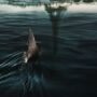 CRITIQUE DE FILM – De nos jours, il y a autant de films de requins que de poissons dans la mer. Malheureusement, la plupart sont non seulement terribles, mais ils assument fièrement leur médiocrité.