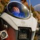 Rebellion n’a publié qu’une vidéo teaser et deux phrases concernant le deuxième DLC scénarisé du « Fallout britannique ».