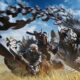 Selon l’éditeur japonais, les ventes du dernier épisode de Monster Hunter auraient pu être bien meilleures, mais un facteur freine lourdement leur progression… et ce n’est pas le jeu lui-même.