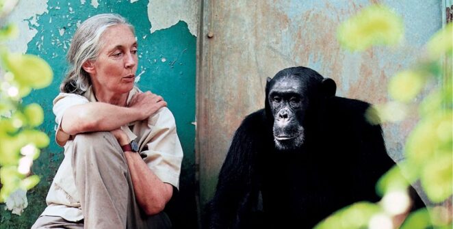 ACTUALITÉS TECH – Dans « Great Ideas Start on Mac », Apple met en avant la voix reconnaissable de la regrettée Dr Jane Goodall pour figurer l’instant où une simple « lueur sur l’écran » devient une idée qui prend forme.