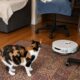 ANALYSE TECH - La vraie valeur d’un robot aspirateur ne se révèle pas lorsqu’il traverse un espace de démonstration vide et parfaitement aménagé, mais lorsqu’il doit tenir bon dans un logement normal: avec ses seuils, ses tapis, ses chaises, ses câbles, ses miettes, ses cheveux et tous ces obstacles du quotidien dont chaque intérieur est rempli.