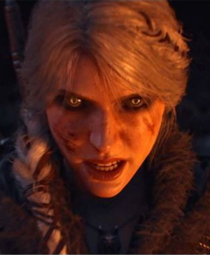 Quoi que fasse Sony, The Witcher IV aura une édition physique !